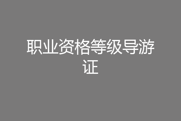 职业资格等级导游证