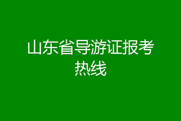 山东省导游证报考热线