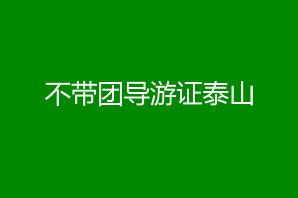 不带团导游证泰山