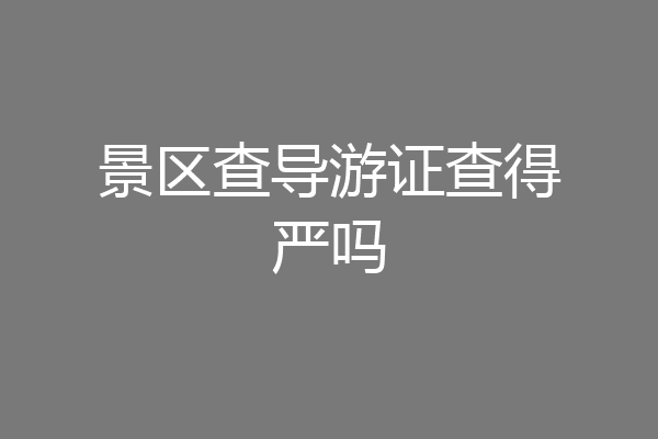 景区查导游证查得严吗