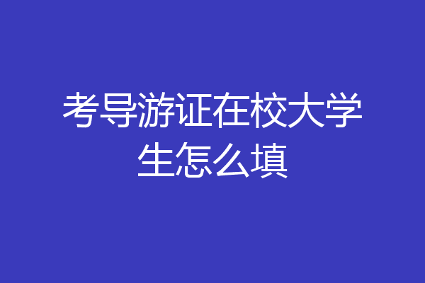 考导游证在校大学生怎么填