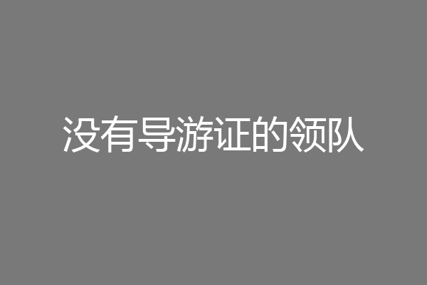 没有导游证的领队