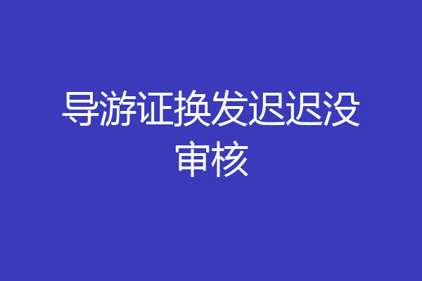 导游证换发迟迟没审核