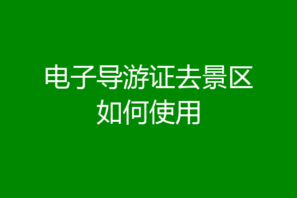 电子导游证去景区如何使用