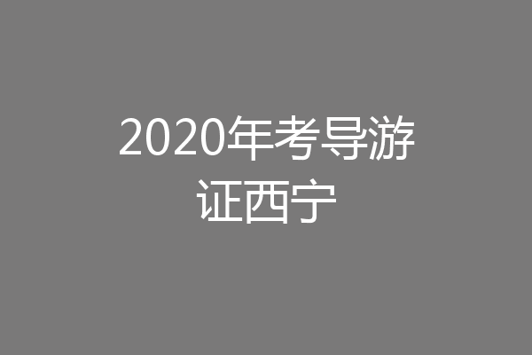 2020年考导游证西宁