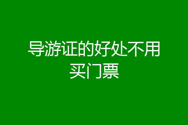 导游证的好处不用买门票