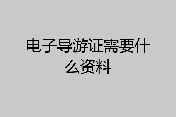 电子导游证需要什么资料