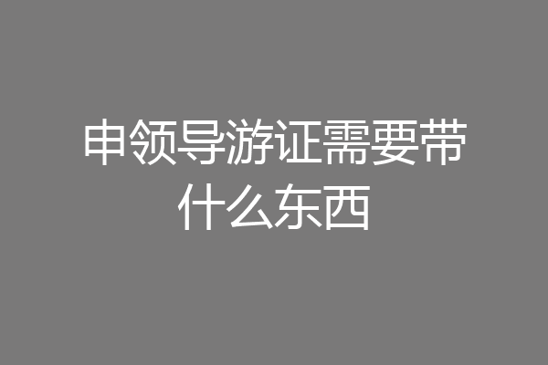 申领导游证需要带什么东西