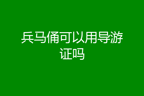 兵马俑可以用导游证吗