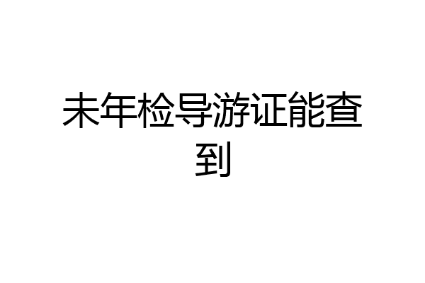 未年检导游证能查到