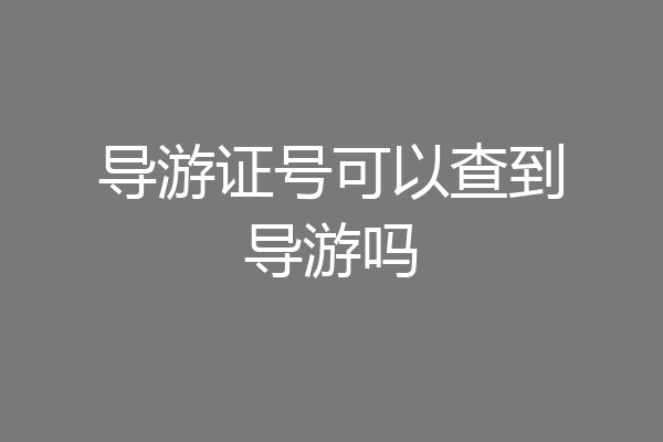 导游证号可以查到导游吗