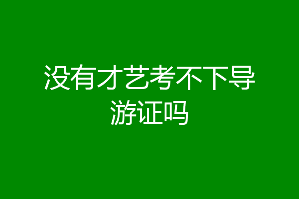 没有才艺考不下导游证吗