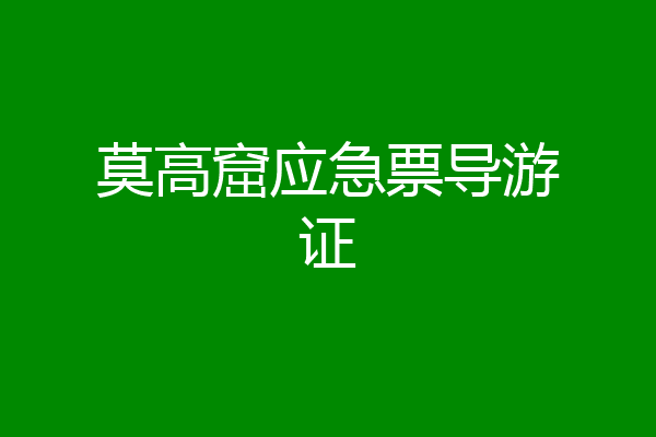 莫高窟应急票导游证