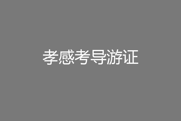 孝感考导游证