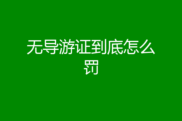 无导游证到底怎么罚