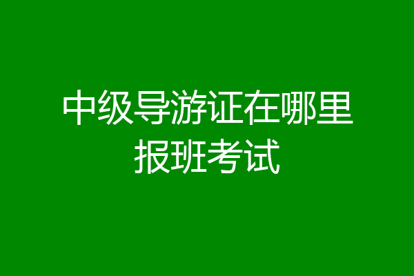 中级导游证在哪里报班考试