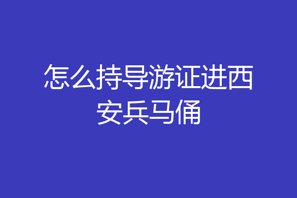 怎么持导游证进西安兵马俑