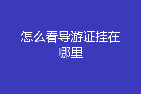 怎么看导游证挂在哪里