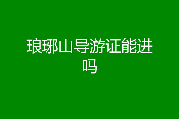 琅琊山导游证能进吗