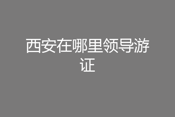 西安在哪里领导游证