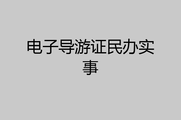 电子导游证民办实事