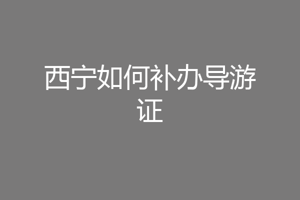 西宁如何补办导游证