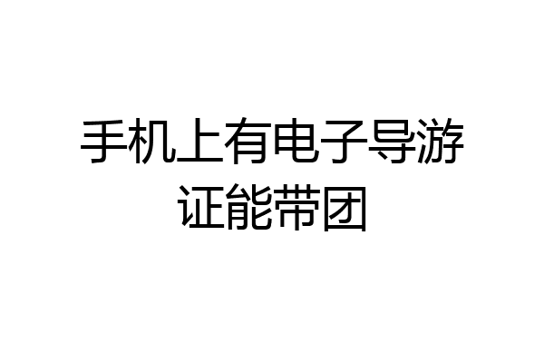 手机上有电子导游证能带团
