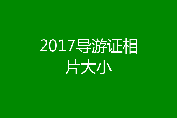 2017导游证相片大小
