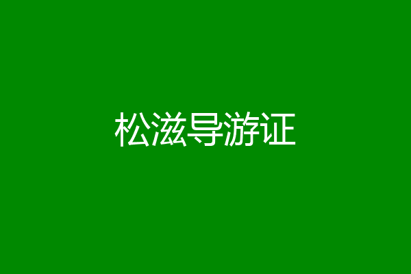 松滋导游证