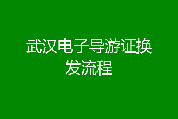 武汉电子导游证换发流程