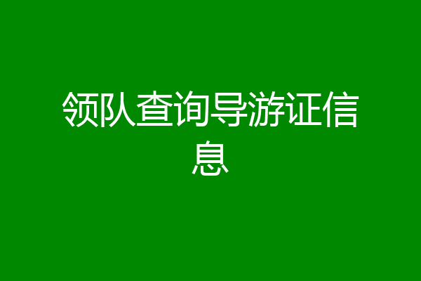 领队查询导游证信息