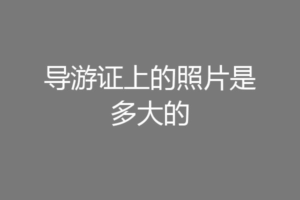 导游证上的照片是多大的
