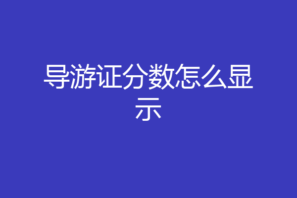 导游证分数怎么显示