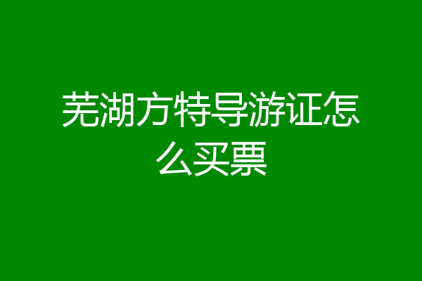 芜湖方特导游证怎么买票