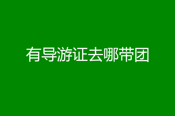 有导游证去哪带团