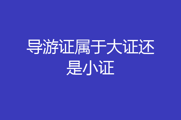 导游证属于大证还是小证