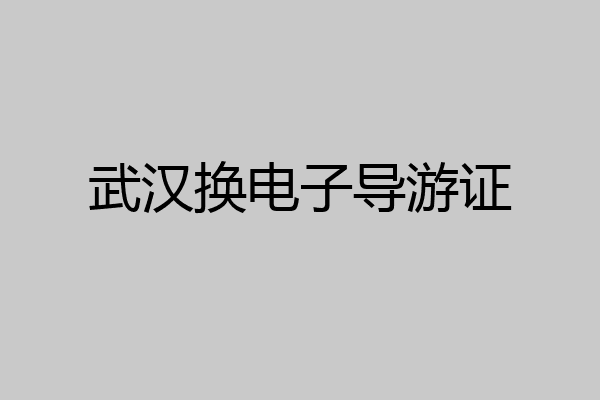 武汉换电子导游证
