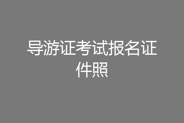 导游证考试报名证件照