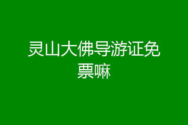 灵山大佛导游证免票嘛