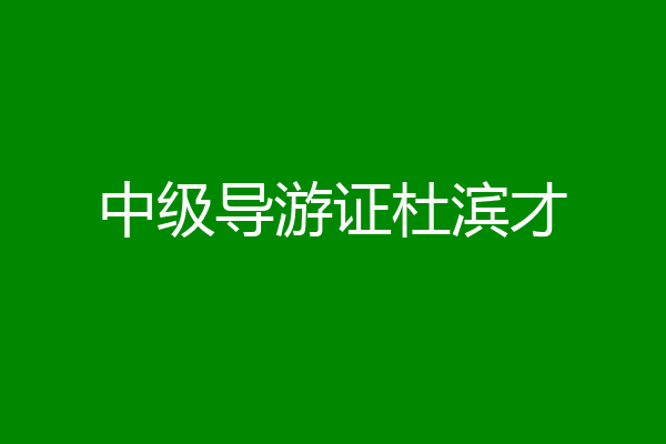 中级导游证杜滨才