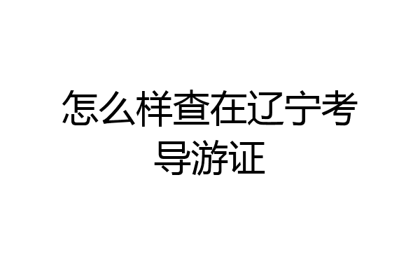 怎么样查在辽宁考导游证