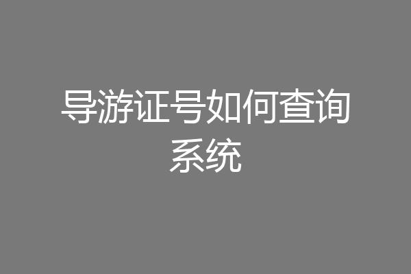 导游证号如何查询系统