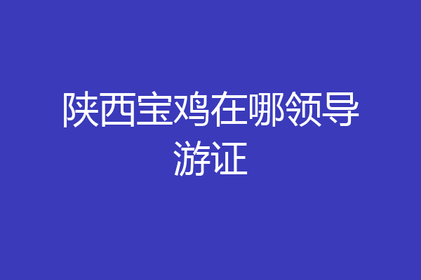 陕西宝鸡在哪领导游证