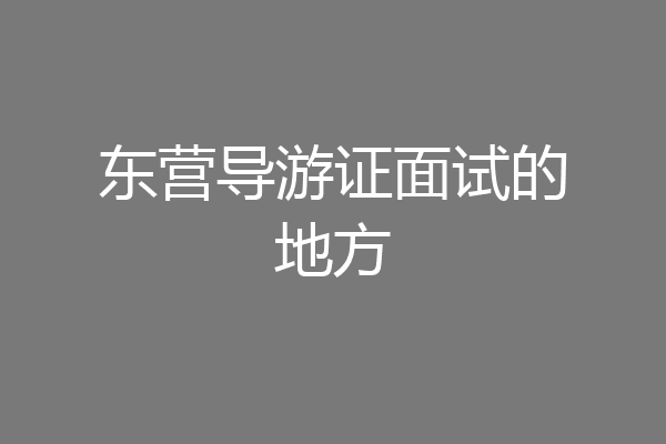 东营导游证面试的地方