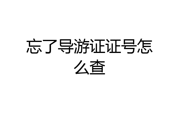 忘了导游证证号怎么查
