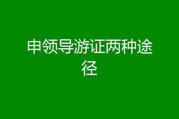申领导游证两种途径