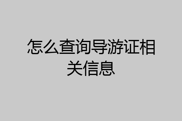 怎么查询导游证相关信息