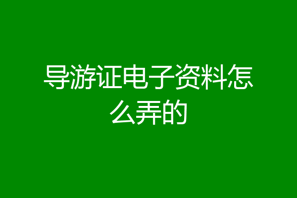 导游证电子资料怎么弄的