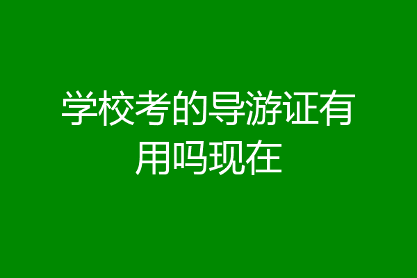 学校考的导游证有用吗现在