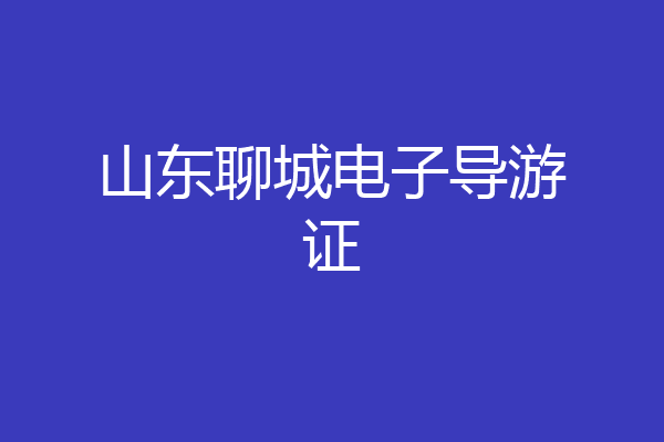 山东聊城电子导游证